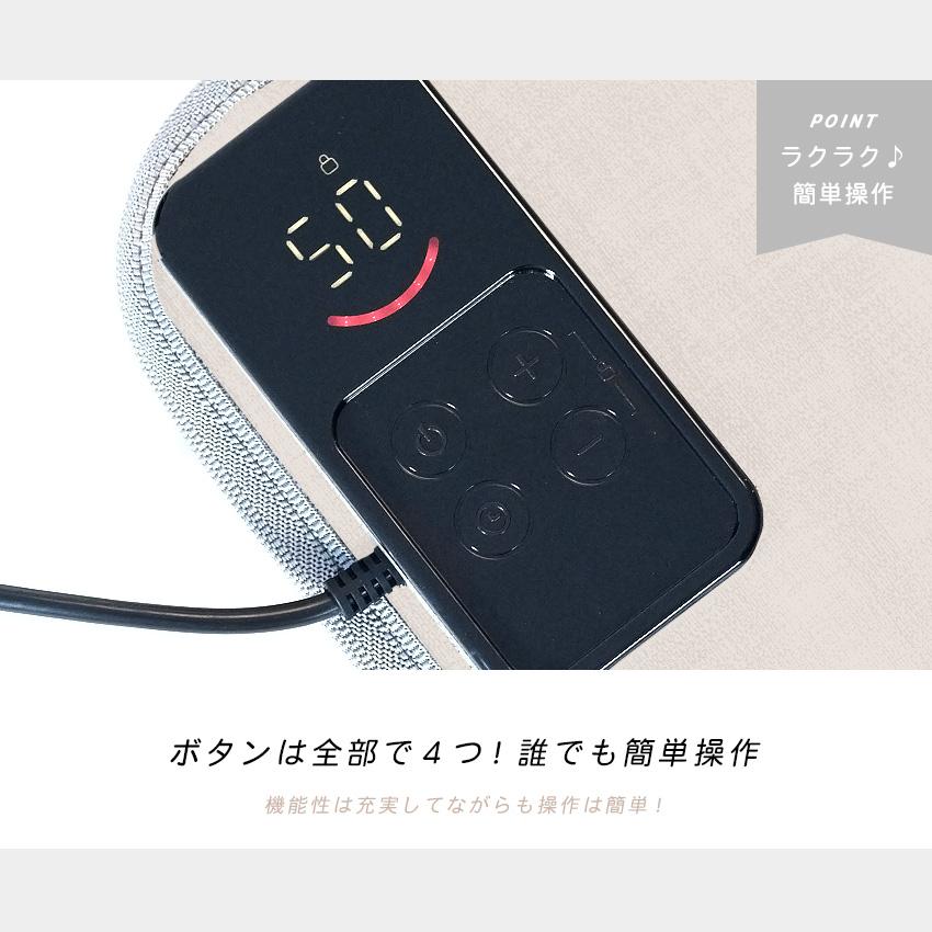 ホットカーペット リビング用 150×200cm 本体 即暖 速暖 節電 カーペット 電気カーペット 足元 軽量 滑り止め付 温度調節 Lafutureの画像