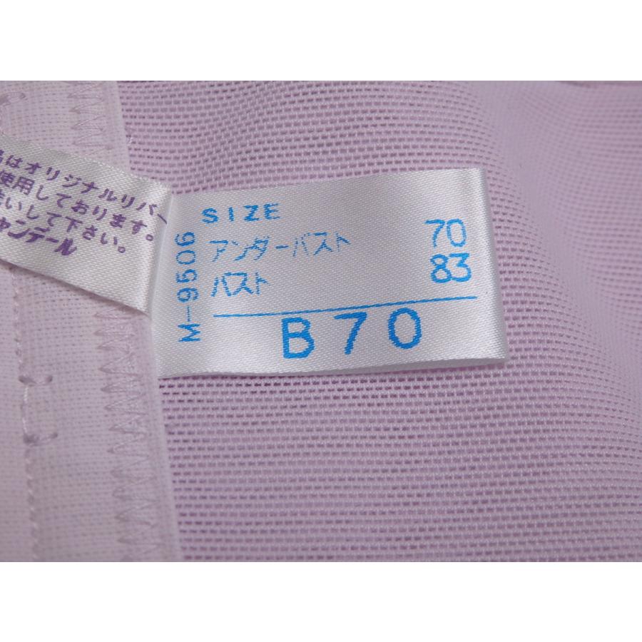 シャンデール スリーインワン B70 ピオニーパープル 補正 : GRAXIA