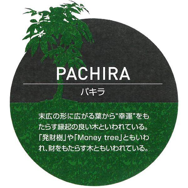 独特の素材 造花 人工観葉植物 光触媒グリーンアレンジ パキラ90 フェイクグリーン お部屋 デスク 棚 テーブル V Cat インテリア 幸運をもたらす木 スタンド花 Www Vke Apeldoorn Nl