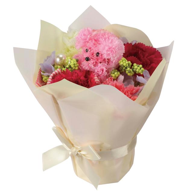 光触媒フラワーアレンジ プリティプードル 爆買 ブーケ 母の日 花