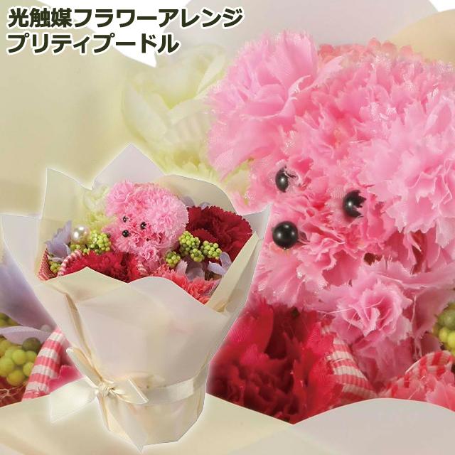 光触媒フラワーアレンジ プリティプードル 爆買 ブーケ 母の日 花