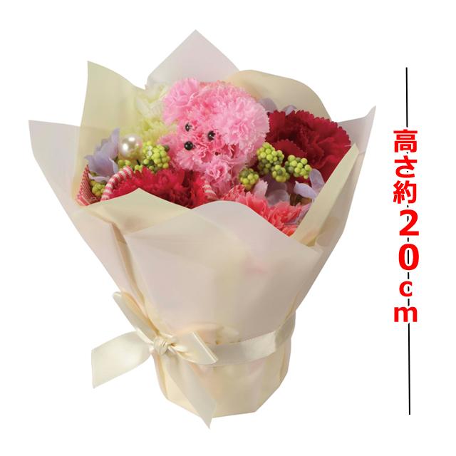 光触媒フラワーアレンジ プリティプードル 爆買 ブーケ 母の日 花