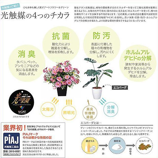 光触媒フラワーアレンジ プリティプードル 爆買 ブーケ 母の日 花