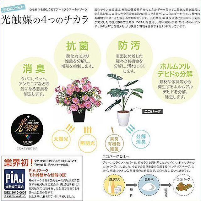 光触媒フラワーアレンジ「プリティベアー」  (母の日 花ギフト 全国発送 フラワーギフト くま 造花 空気浄化 抗菌 消臭アートフラワー 光触媒人工フラワー)｜premium-pony｜07