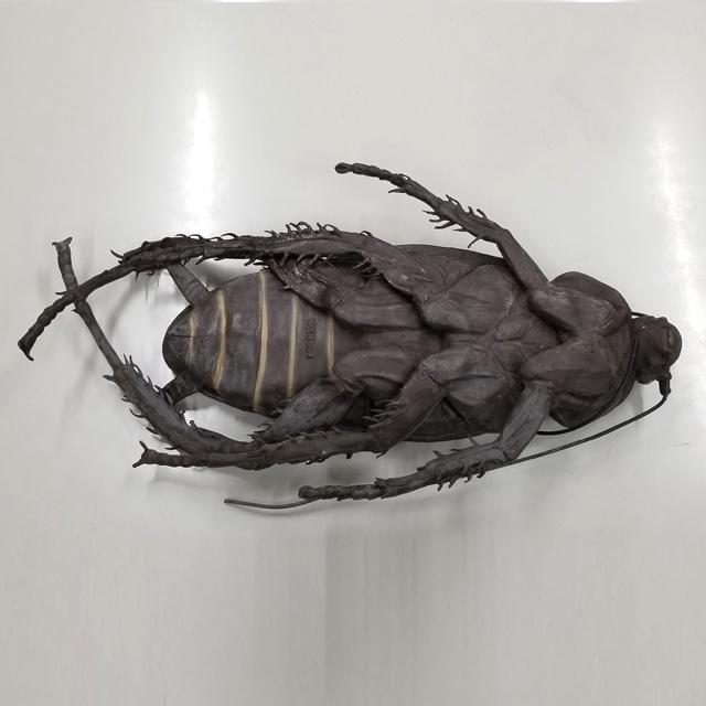 リアル巨大生物メガシリーズ「メガゴキブリ」 (全長73cm ドッキリ
