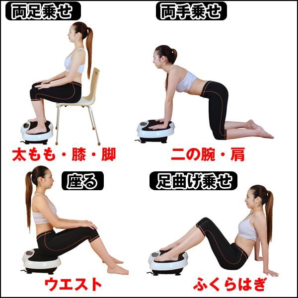 乗るだけエクササイズ「シェイカーバイブプレート」 (送料無料