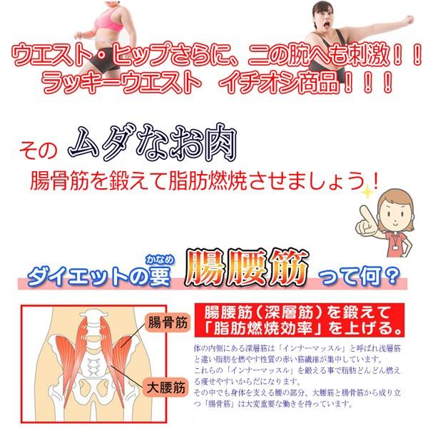 ツインツイスターDVD付 (フィットネス ダイエット トレーニング