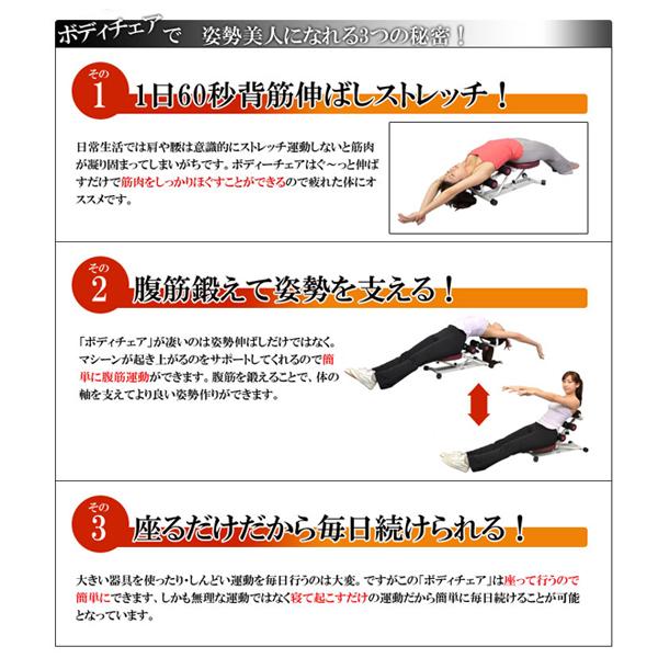 全身フィットネス「ボディチェア」  (体を倒すだけ 腹筋 背筋 ストレッチ エクササイズ 自宅用フィットネスマシーン トレーニング器具)｜premium-pony｜06