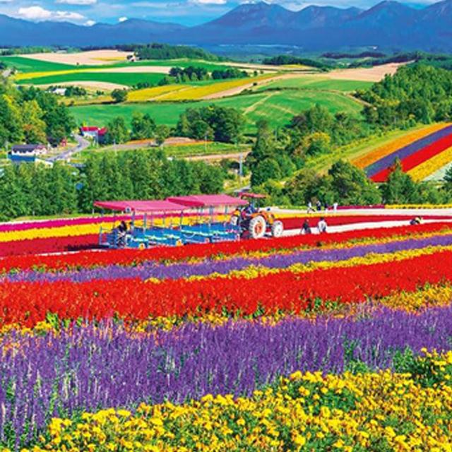超希少 ジグソーパズル 鈴木瑛人 水辺の印象 1020ピース ジグソー日本の風景「美瑛の花咲く丘」フレームセット（1000マイクロP