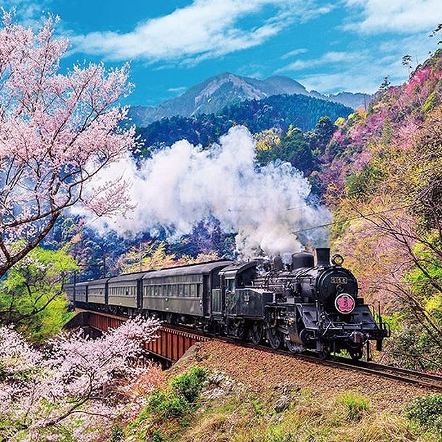 ジグソー日本の風景「 大井川鐡道と桜」 フレームセット（600P）パズル