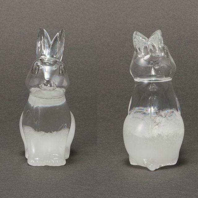 ストームグラスうさぎ (レトロ 気象計 Fun Science サイエンス雑貨