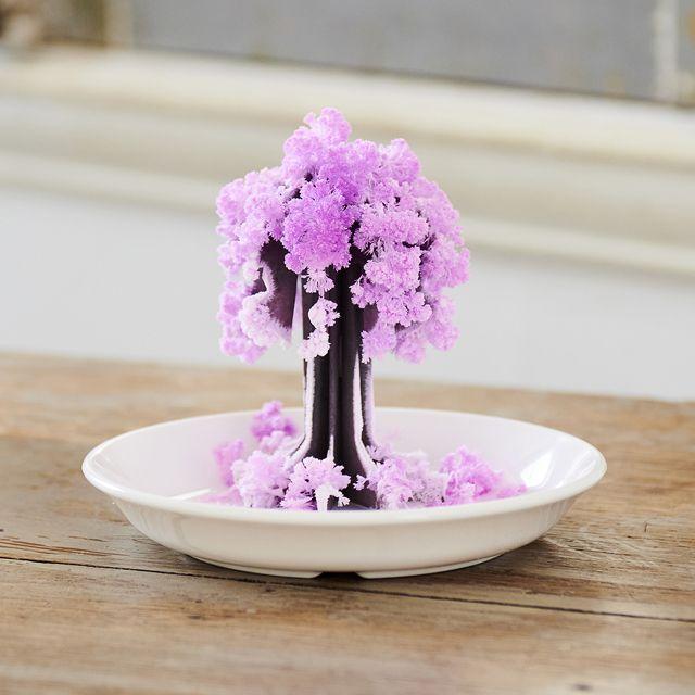 桜の花 切り絵 アクリル インテリア装飾 折り紙で簡単！桜の切り紙2種