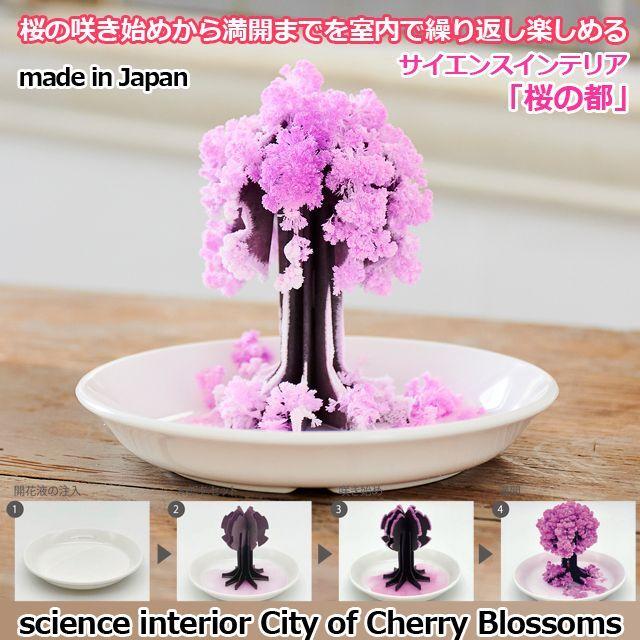 桜の根 置物 Amazon.co.jp: 茶谷産業(Chatani) 桜の花咲くオブジェ