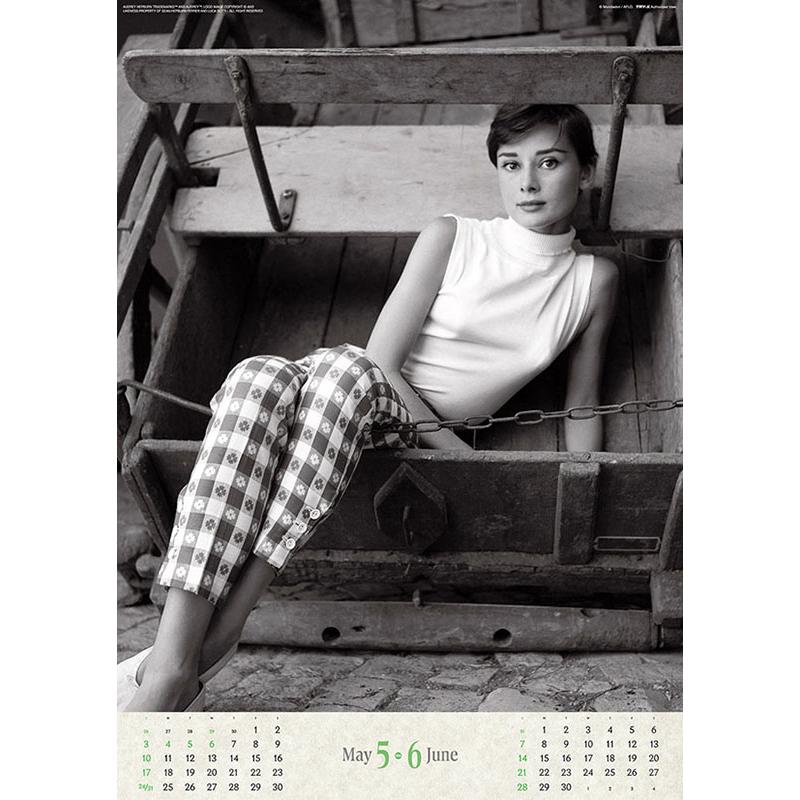 けーこ☆お読みください △Ω ZG2 4697) DC-KTL2 (WHT) 岩通 レバンシオ LEVANCIO 卓上型