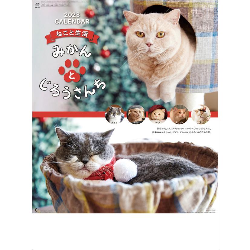 21年深海生物図鑑カレンダー Cl 403 プレミアムポニー 通販 Yahoo ショッピング