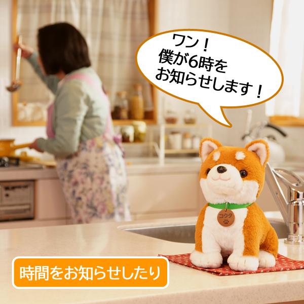 音声認識ぬいぐるみ「こんにちワン！しばいぬコウタ」バンダナ付き (犬 可愛い ぬいぐるみ 柴犬 しゃべる人形  簡単操作 玩具 )｜premium-pony｜05