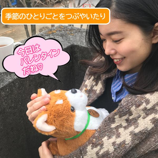 音声認識ぬいぐるみ「こんにちワン！しばいぬコウタ」バンダナ付き (犬