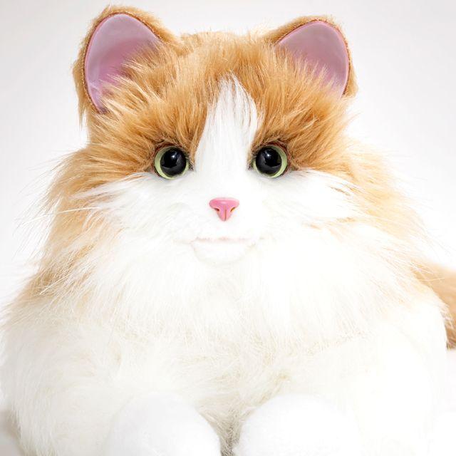 ねこ ネコ 猫 ペット ニャンコ ぬいぐるみ 鳴き声 しっぽ 肉球