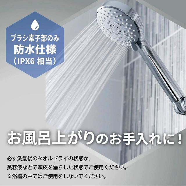 アデランス電気ブラシ スマスビート 充電式 EMS バイブレーション 赤色