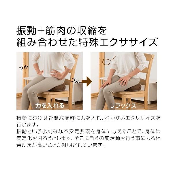 骨盤底筋エクササイズ「キュットブル」(シートクッション 座るだけ