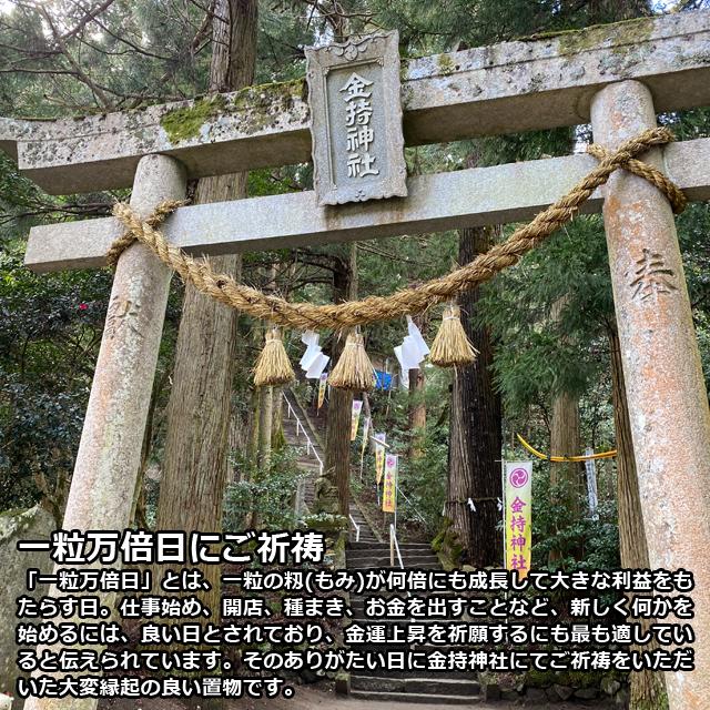 ヘビ 蛇 置物「金持神社でご祈祷された金運黄金縁起物 巳 へび」金運