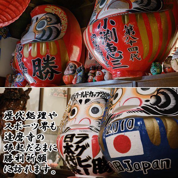 少林山達磨寺公認「達磨大師座禅像」壱号サイズ (縁起もの商品 達磨