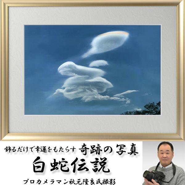 幸運をもたらす奇跡の写真「白蛇伝説」 (縁起の良い写真 POWER PHOTO 開運 奇跡 不思議写真 霊鳥 開運招来写真 天空の奇跡 幸運を呼ぶ鳥)