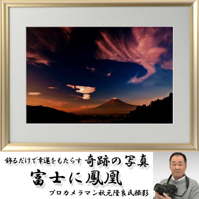 幸運をもたらす奇跡の写真「富士に鳳凰」 爆買 開運祈願 縁起の良い