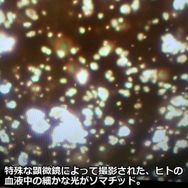 波動エネルギーで空間浄化「神秘のソマチッドピラミッド