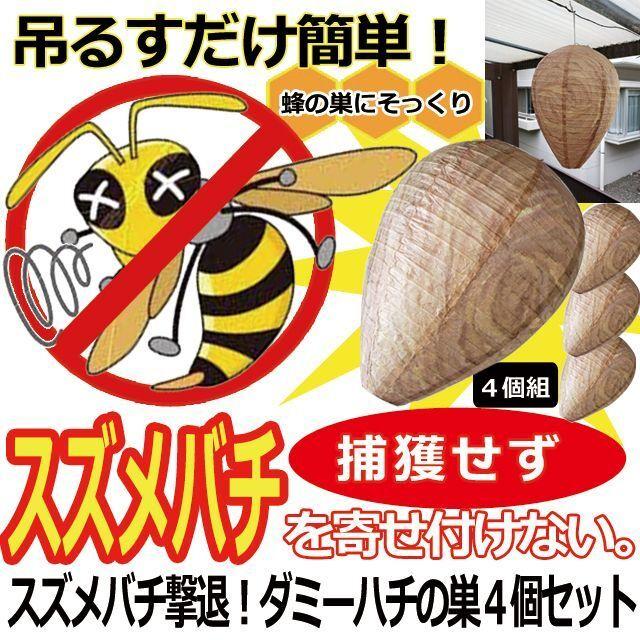 スズメバチの巣42✖️54 標本