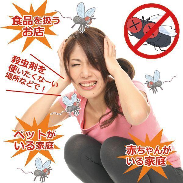 FLY TRAP（ハエ取りトラップ）5個セット (ハエ取り 退治 駆除 害虫駆除