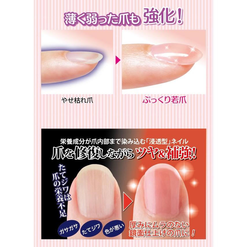 超安い ネイル 栄養成分が爪内部まで染み込む 浸透型 ネイル 美爪記念日プロテクトネイル 爪 ネイル 爪美容液 ベースコート 爪補強液 ネイルカラー トップコート 保護 保湿 補修 ダメージケア Www Threeriversofs Com