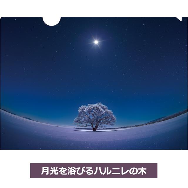 KAGAYAクリアファイル4柄セット A4サイズ 4種 星空写真 天文イラスト