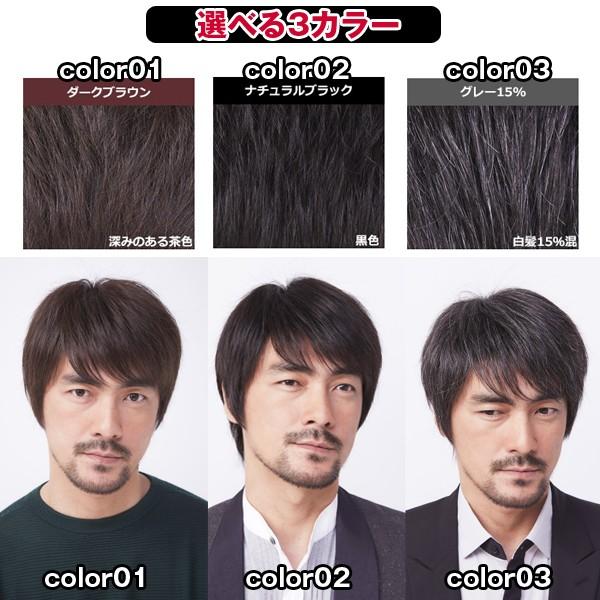 メンズウィッグ「オム・リーブル」ベーシックスタイル01 ダーク