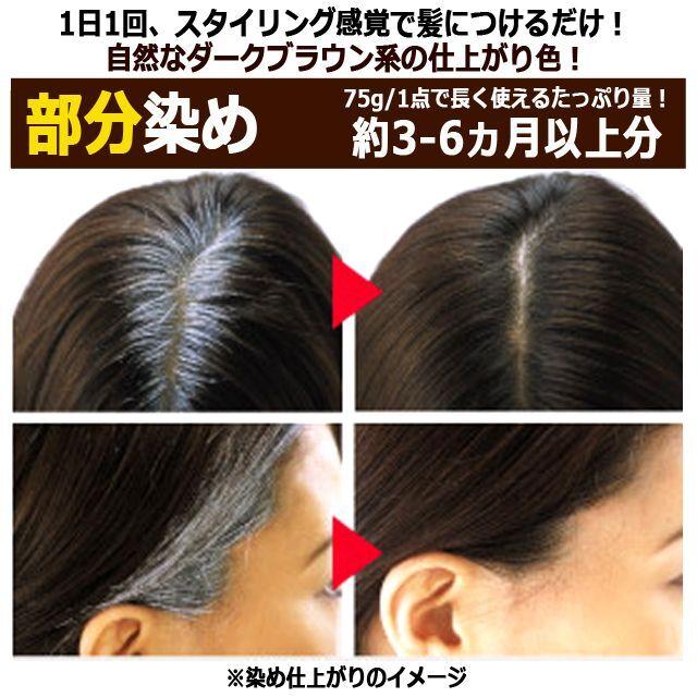 光で染まる！自然な仕上がり白髪染め！サンカラーマックス75g[3点