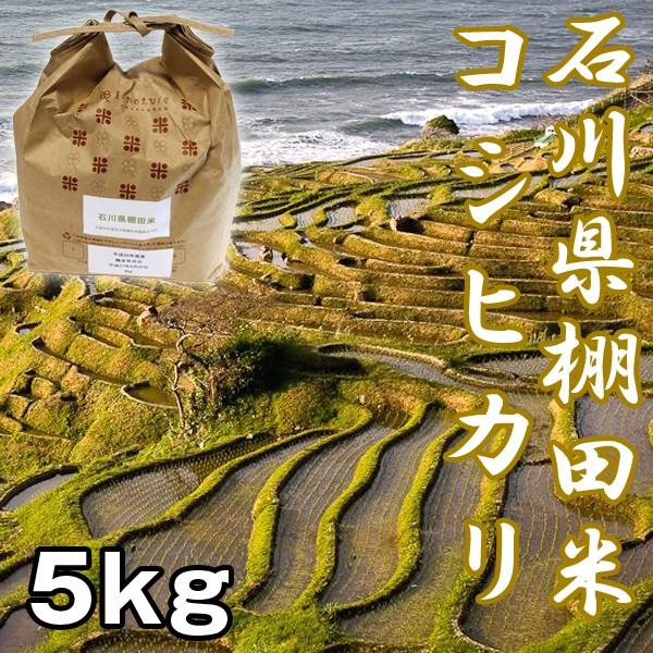 石川棚田米コシヒカリ5kg (お米,米5kg,こしひかり,新米,お取り寄せブランド米,石川県能登半島,世界農業遺産認定米,受注後精米)｜premium-pony