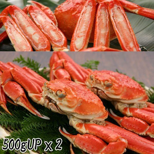 ずわい蟹姿2杯 (ずわいかに ズワイガニ 500gx2 1000g 1kg お取り寄せ