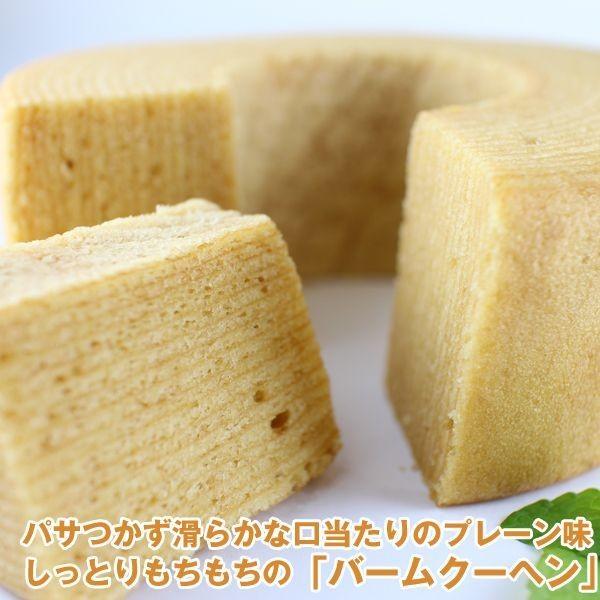 プレミアムスイーツガトーセレクトC（プレーン）（お中元