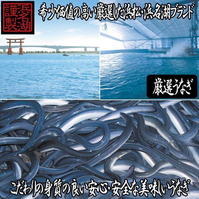 浜松・浜名湖うなぎ蒲焼１人前長焼き  (国産 ウナギ蒲焼 土用の丑 産地直送 鰻長焼き 夏ギフト 父の日 ギフトグルメ お中元 御祝ギフト のしOK)｜premium-pony｜04