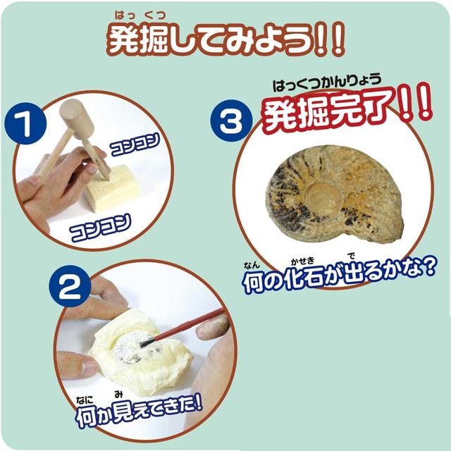 触れる図鑑コレクション 本物の化石を発掘体験 化石発掘キット 化石