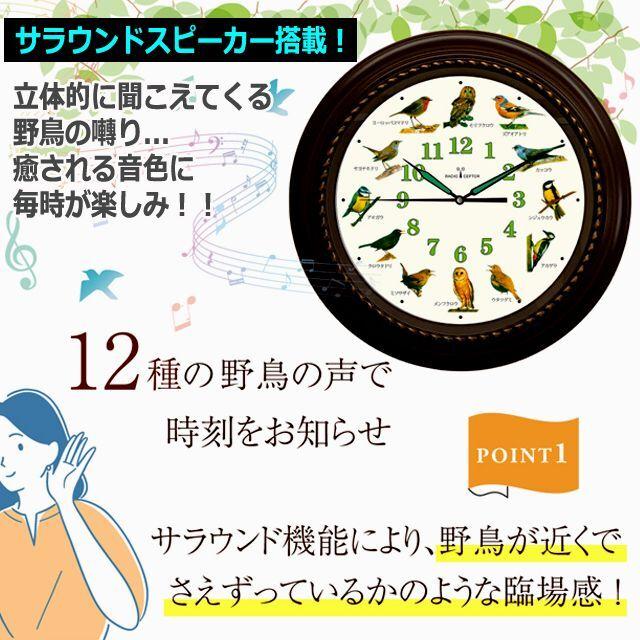 臨場感ある12種の野鳥のさえずりで時刻をお知らせ！野鳥の電波時計  (モリフクロウ ヨーロッパコマドリ メンフクロウ カッコウ インテリア 文字盤安眠機能 )｜premium-pony｜04