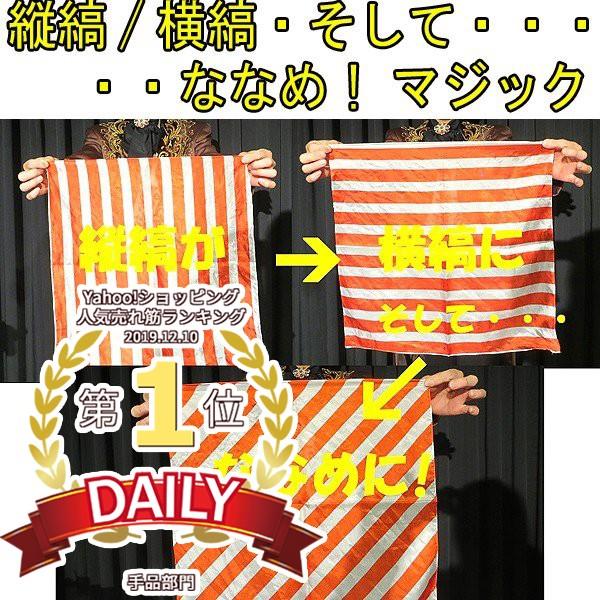 縦縞/横縞・そして・・・ななめ! マジック/解説DVD付き(プロマジシャン