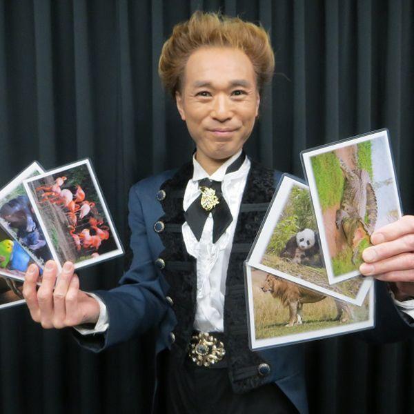 メンタル・アニマルカードマジック/解説DVD付き (手品 マジシャン直伝 