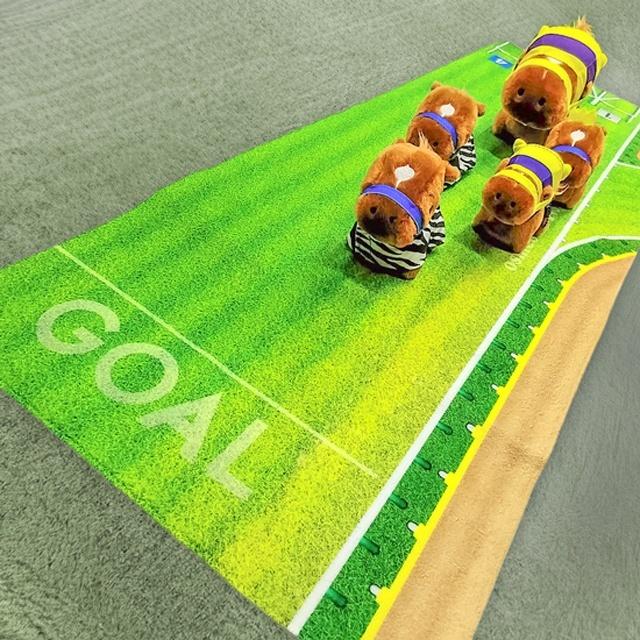 競馬　グッズ　ピューロマジック　うちわ　アイビスサマーダッシュ　新潟競馬場 千直ダッシュスポーツタオル 爆買 父の日 新潟競馬場 せんちょく