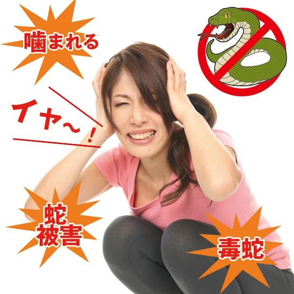 感謝価格、白ヘビ皮入り六角錘オルゴナイト、災難防ぐ魔よけ嫌なことから避けたい方に ヘビ忌避剤[「置くだけ簡単ヘビこな〜い(7個入り）」(置くだけ へびこ