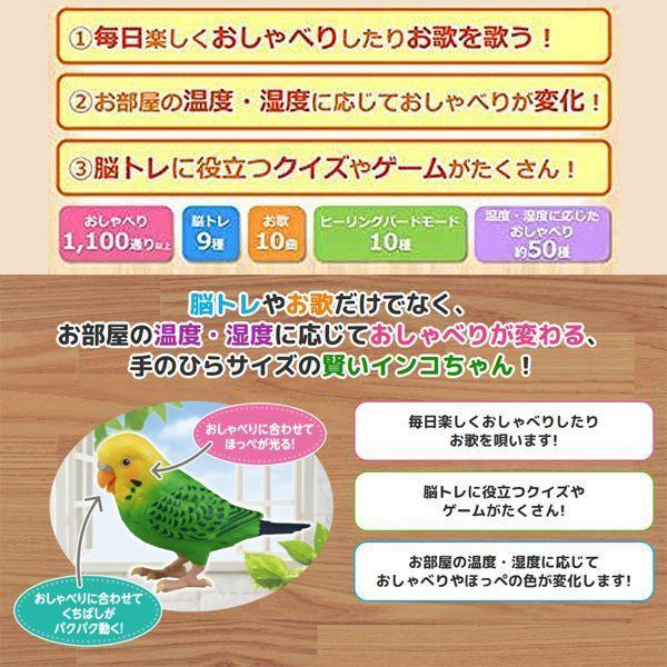 毎日おしゃべり天才インコちゃん (玩具 おもちゃ 子供 高齢者 1人