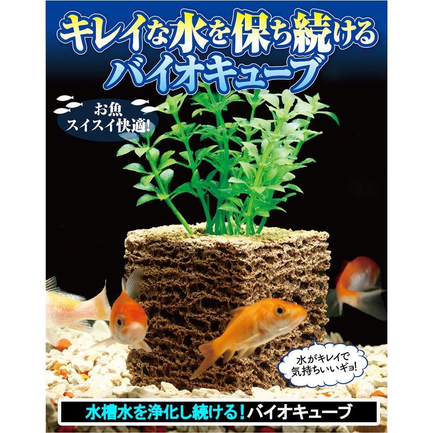 水槽水を浄化し続ける！バイオキューブ (キレイな水 水槽浄化 水換え