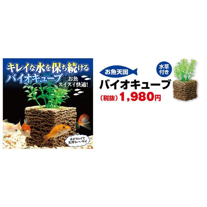 水槽水を浄化し続ける！バイオキューブ (キレイな水 水槽浄化 水換え