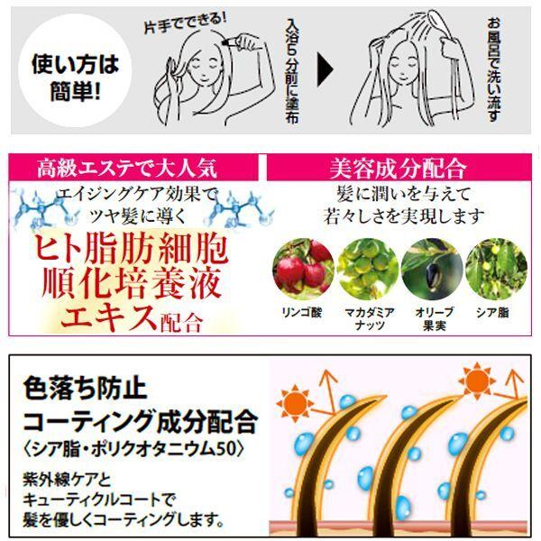 ピンポイント白髪染め5分で染める！クイックヤングヘアカラー[3点]  (美容院 キューティクルコート 紫外線ケア 揉み上げ 分け目) ピンポイント白髪染め5分で染める！クイックヤングヘアカラー[3点