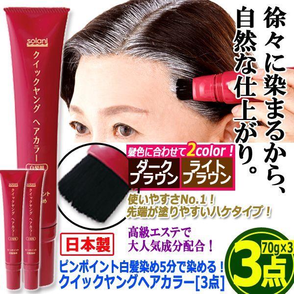 ピンポイント白髪染め5分で染める！クイックヤングヘアカラー[3点